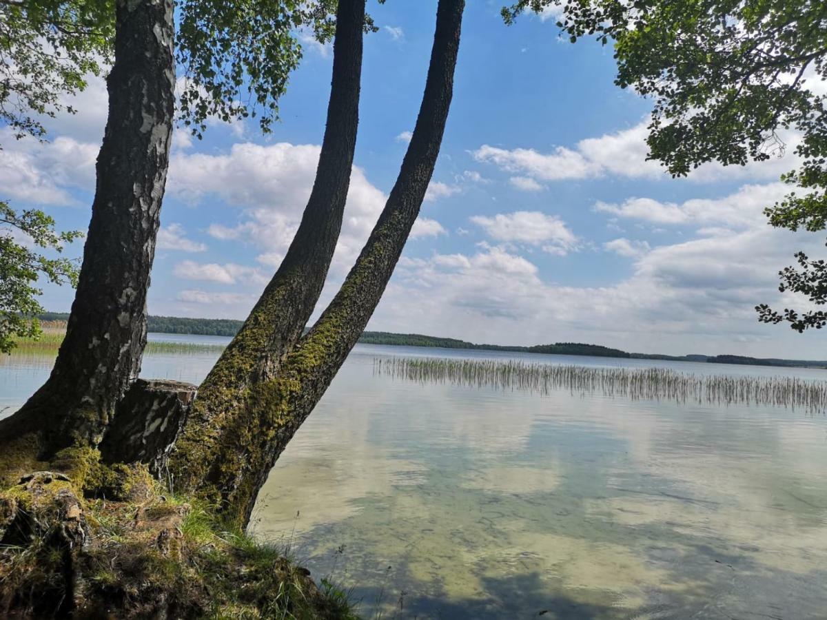 Grzybowo Dom Wakacyjny Bagian luar foto